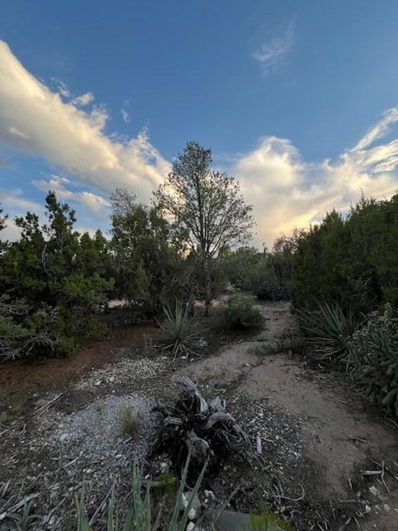 Image 3 of property listing at Lucas Road, Edgewood, NM 87015