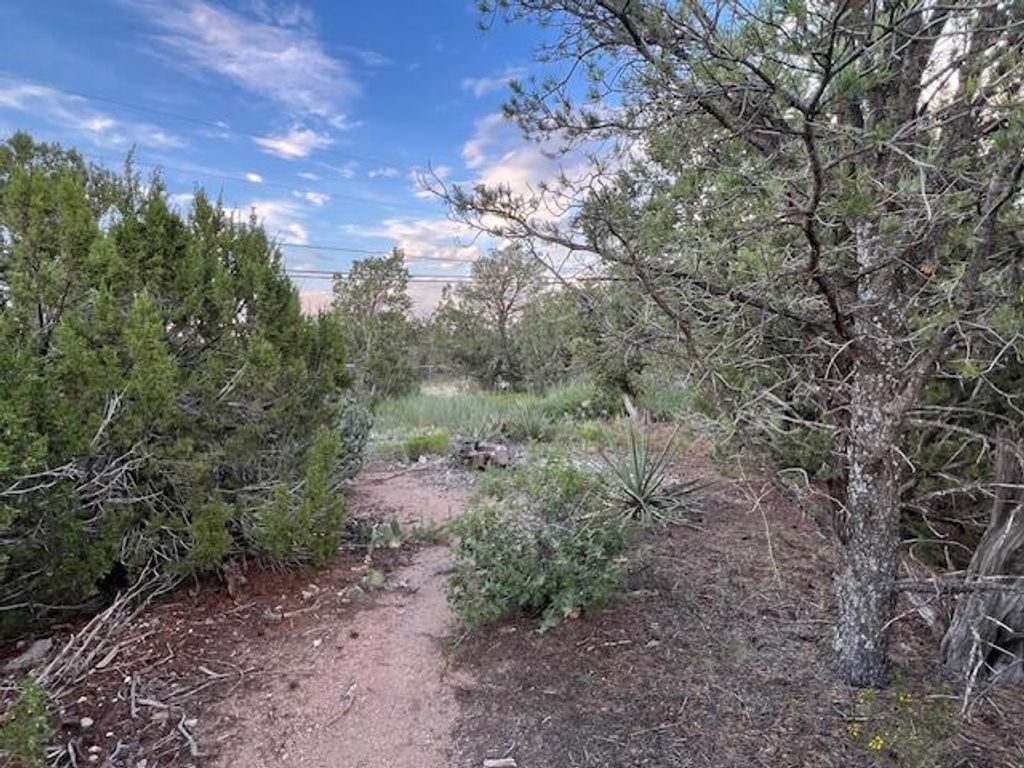 Image 4 of property listing at Lucas Road, Edgewood, NM 87015