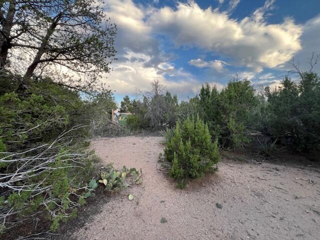 Image 6 of property listing at Lucas Road, Edgewood, NM 87015