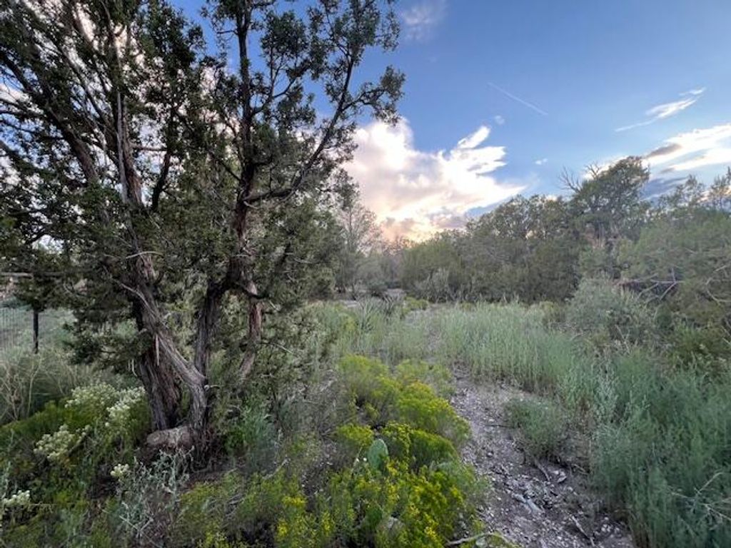 Image 7 of property listing at Lucas Road, Edgewood, NM 87015