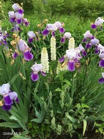 2023 McClellan Street, Schenectady, NY 12309