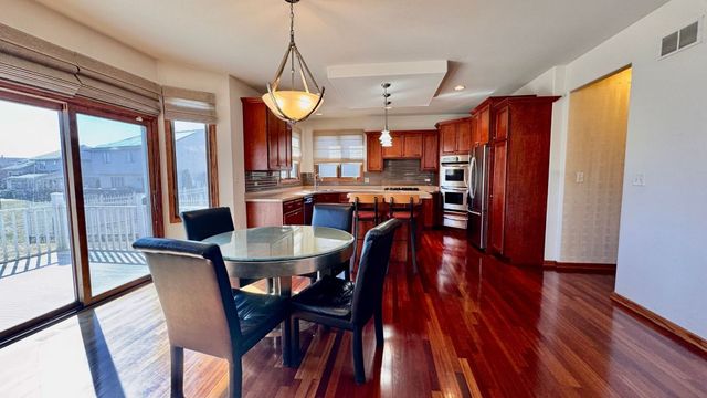 21249 Sophia Drive, Matteson, IL 60443