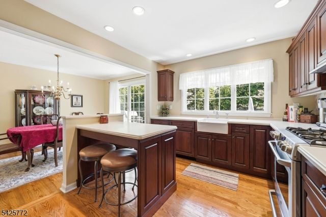 217 Jeffer St, Ridgewood Village, NJ 07450