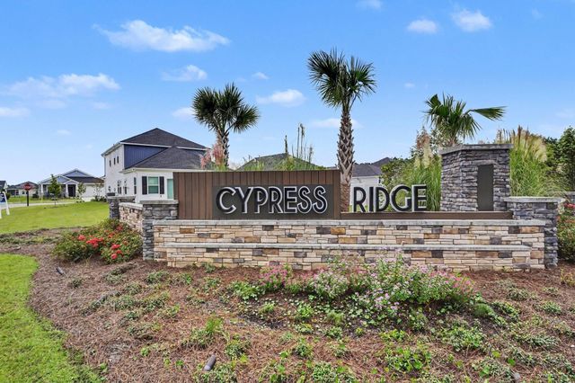 774 Cypress Preserve Circle, Longs, SC 29568