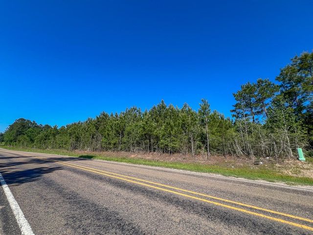 T-1 Fm 355 Eliot, Groveton, TX 75845