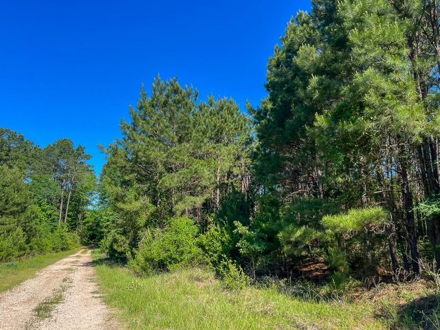 T-1 Fm 355 Eliot, Groveton, TX 75845