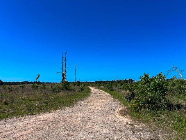 T-1 Fm 355 Eliot, Groveton, TX 75845