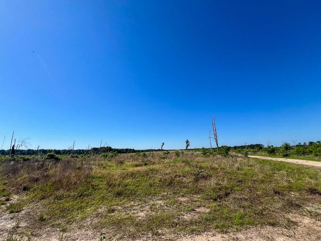T-1 Fm 355 Eliot, Groveton, TX 75845