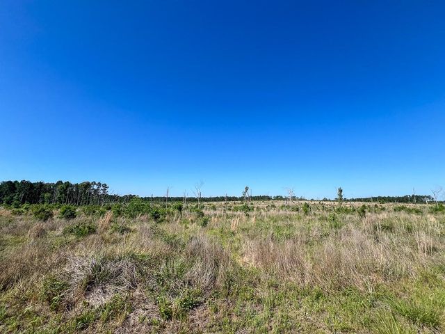 T-1 Fm 355 Eliot, Groveton, TX 75845