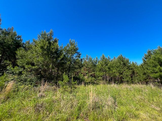 T-1 Fm 355 Eliot, Groveton, TX 75845