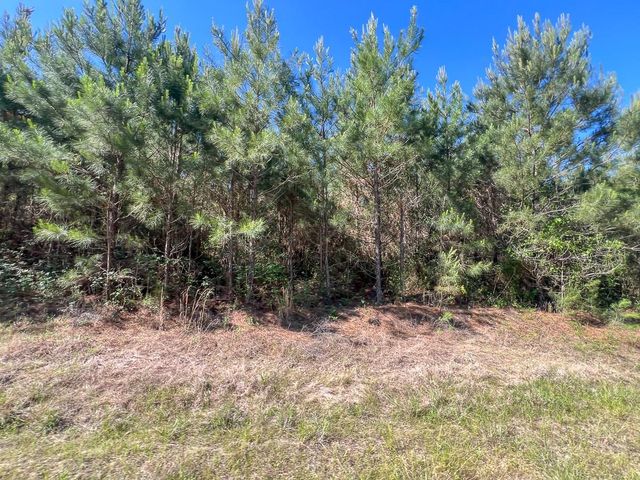 T-1 Fm 355 Eliot, Groveton, TX 75845