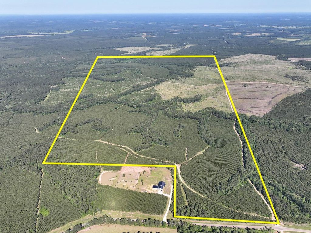 T-1 Fm 355 Eliot, Groveton, TX 75845