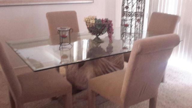 35299 Meridia Avenue, Palm Desert, CA 92211