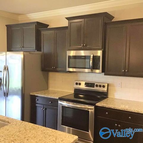 253 Brighton Park Way, Madison, AL 35756