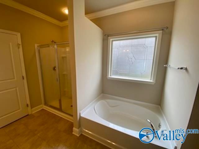 253 Brighton Park Way, Madison, AL 35756