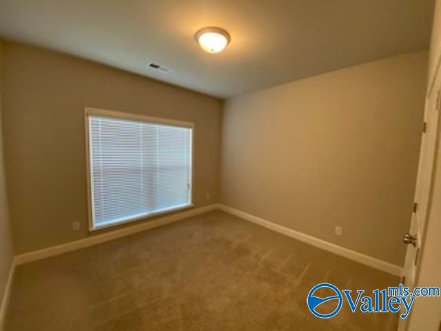 253 Brighton Park Way, Madison, AL 35756
