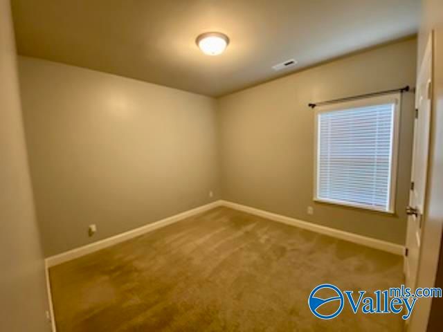 253 Brighton Park Way, Madison, AL 35756