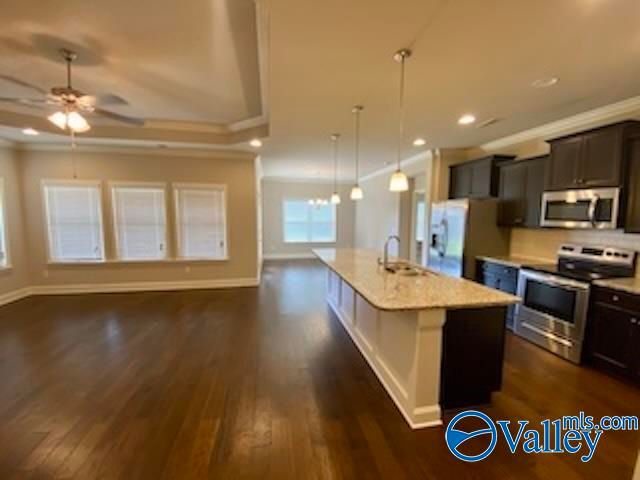 253 Brighton Park Way, Madison, AL 35756