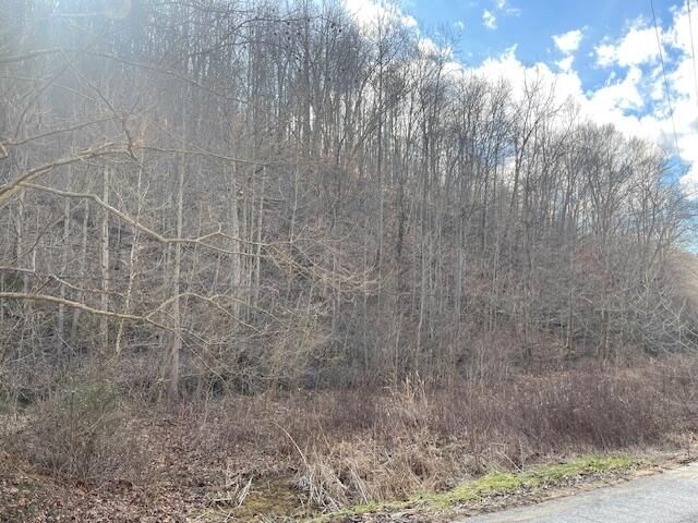 9999 State Hwy 223, Flat Lick, KY 40935