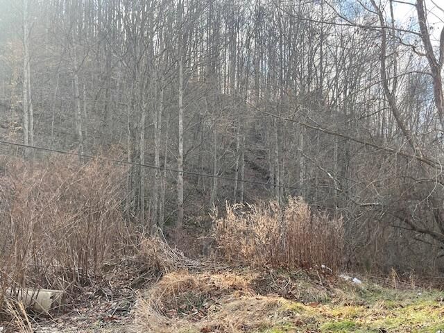 9999 State Hwy 223, Flat Lick, KY 40935