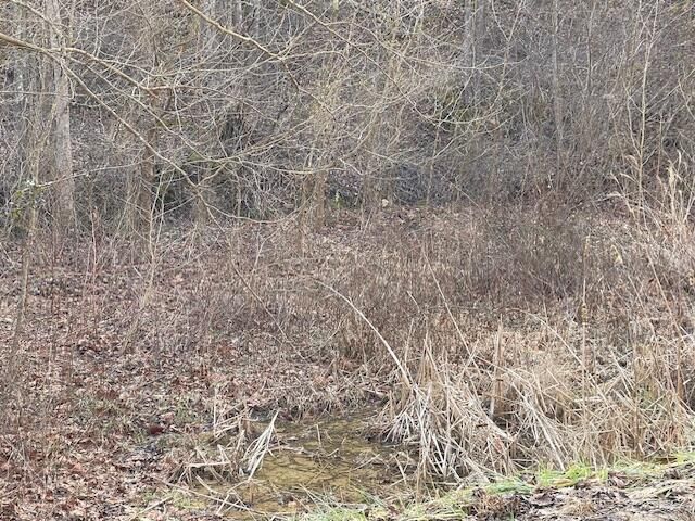 9999 State Hwy 223, Flat Lick, KY 40935