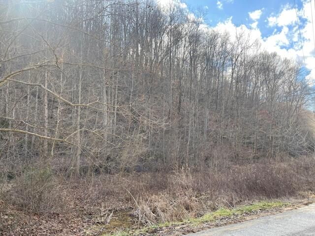 9999 State Hwy 223, Flat Lick, KY 40935