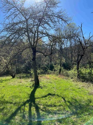 4.90 Wayah Road, Topton, NC 28781