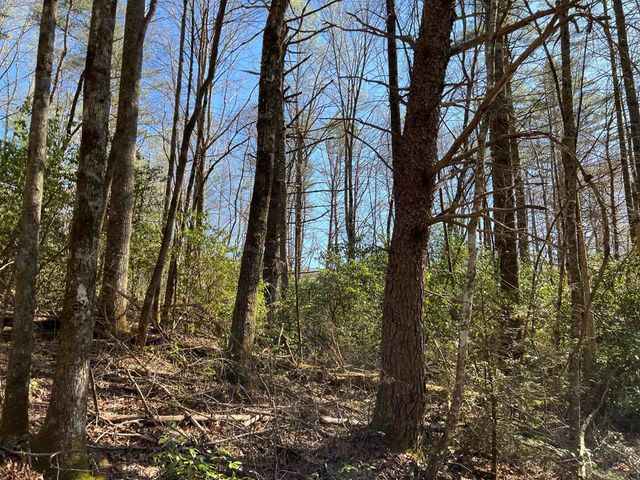 4.90 Wayah Road, Topton, NC 28781