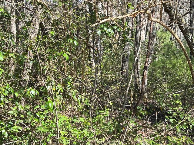 4.90 Wayah Road, Topton, NC 28781