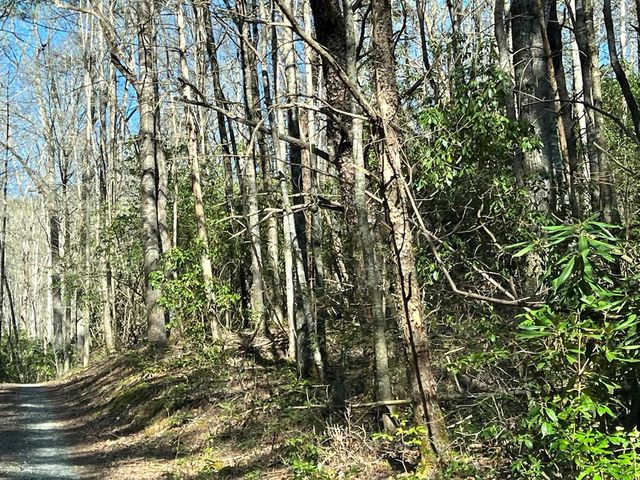 4.90 Wayah Road, Topton, NC 28781