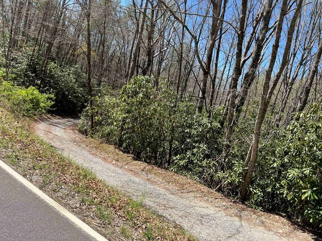 4.90 Wayah Road, Topton, NC 28781