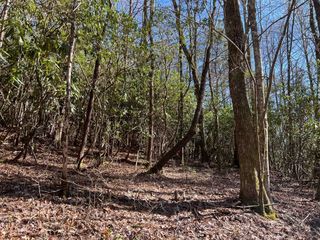 4.90 Wayah Road, Topton, NC 28781