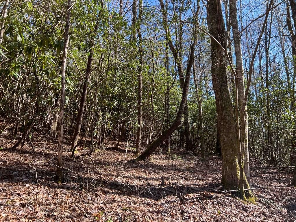 4.90 Wayah Road, Topton, NC 28781