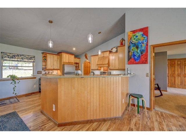730 Lariat Loop, Hartsel, CO 80449