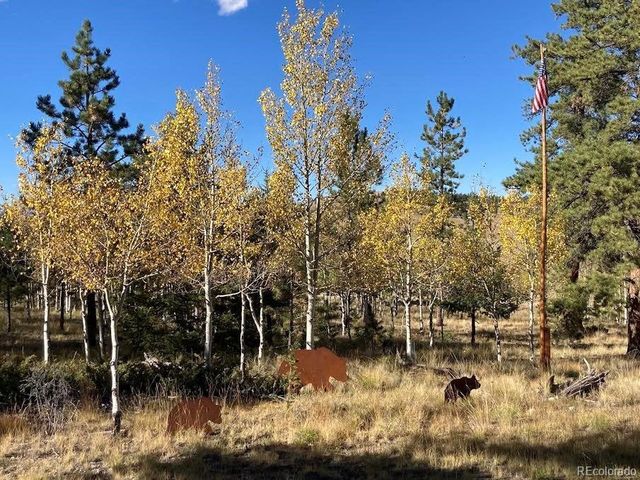 730 Lariat Loop, Hartsel, CO 80449