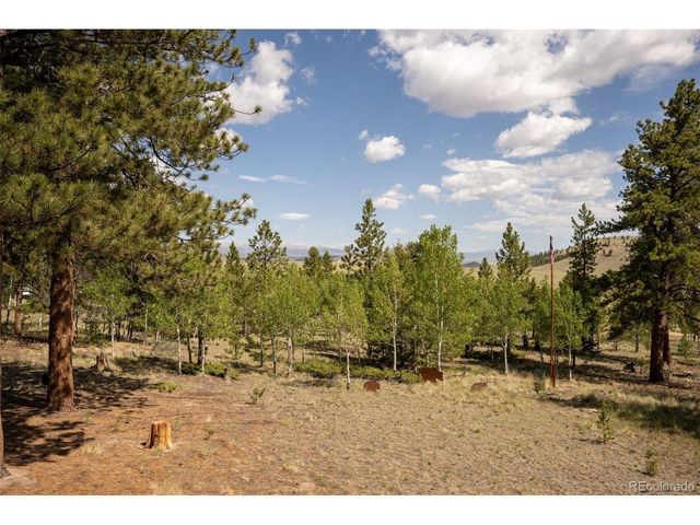 730 Lariat Loop, Hartsel, CO 80449