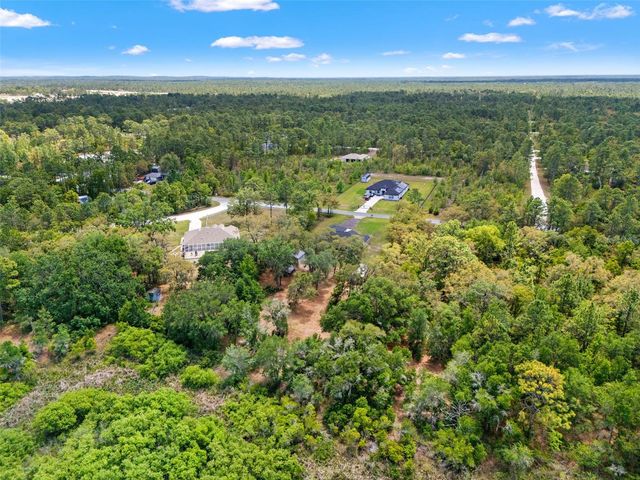 11099 YELLOW HAMMER ROAD, Weeki Wachee, FL 34614