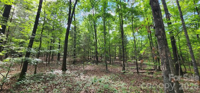 1811 Neelys Creek Road, Rock Hill, SC 29730