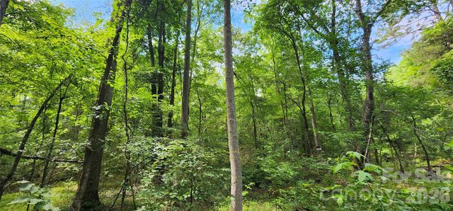 1811 Neelys Creek Road, Rock Hill, SC 29730