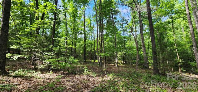 1811 Neelys Creek Road, Rock Hill, SC 29730