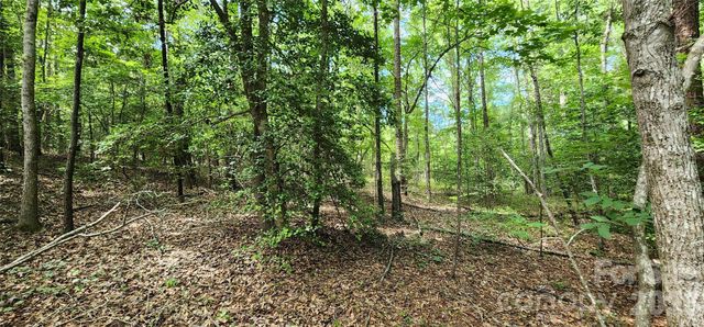 1811 Neelys Creek Road, Rock Hill, SC 29730