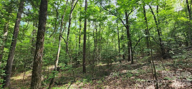 1811 Neelys Creek Road, Rock Hill, SC 29730