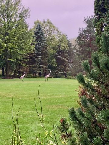 2917 Fox Knoll Court, Johnsburg, IL 60051