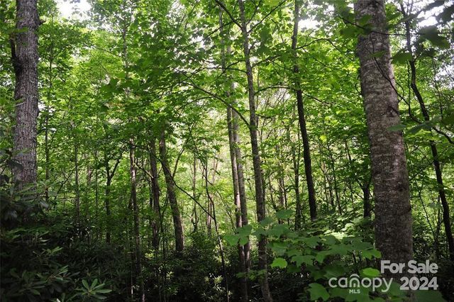 17 Wood Haven Lane 111, Black Mountain, NC 28711