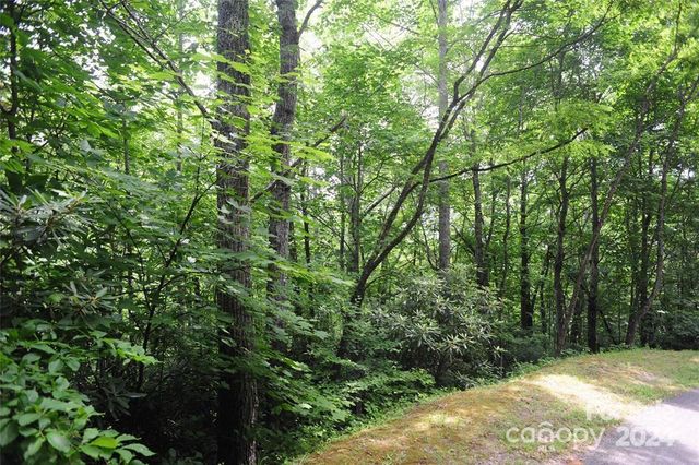 17 Wood Haven Lane 111, Black Mountain, NC 28711
