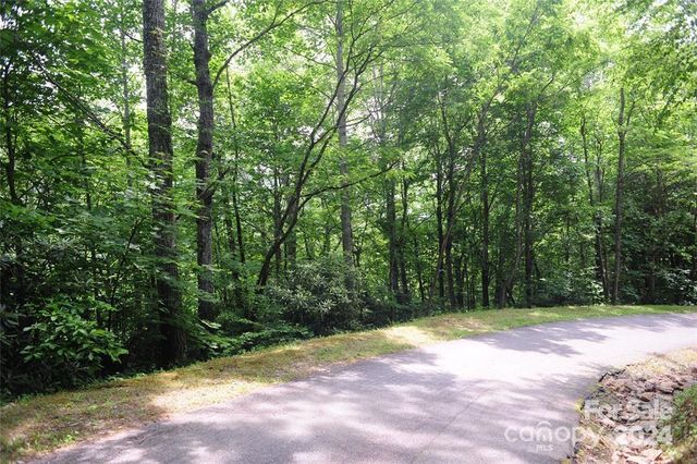 17 Wood Haven Lane 111, Black Mountain, NC 28711