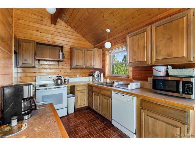 730 Cheyenne Creek, Lake George, CO 80827