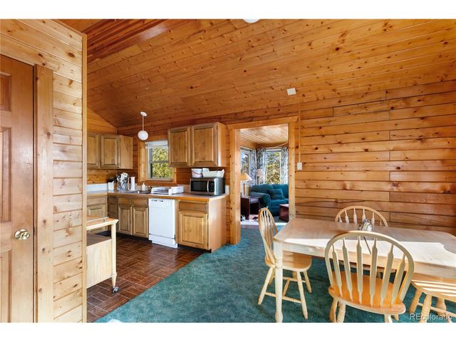 730 Cheyenne Creek, Lake George, CO 80827