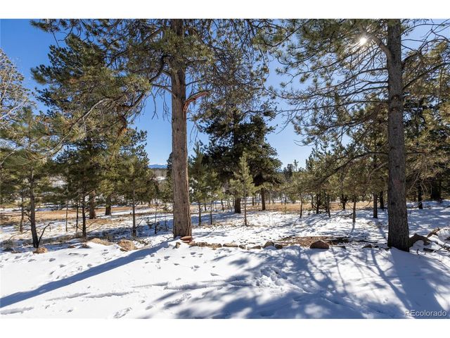 730 Cheyenne Creek, Lake George, CO 80827