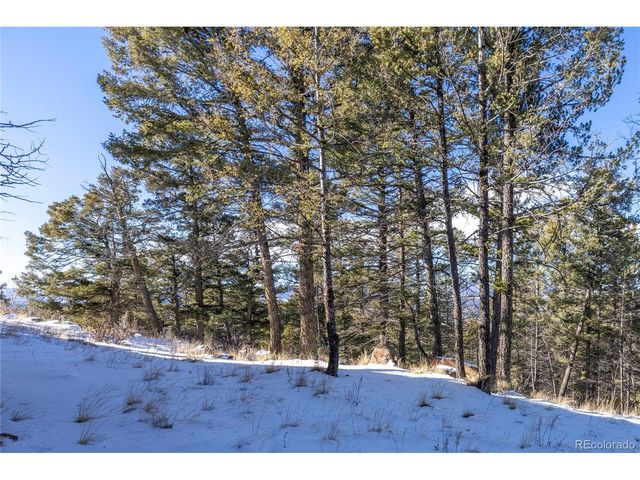 730 Cheyenne Creek, Lake George, CO 80827